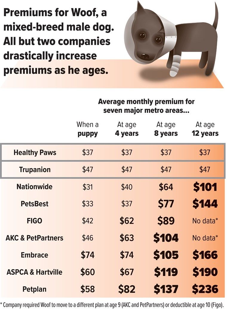 Compare Pet Insurance Plans