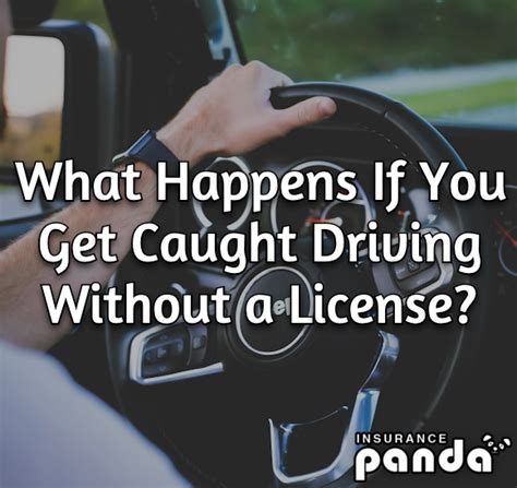 Consequences Of Driving Without A License In Illinois Consequences Of Driving Without A License In Illinois