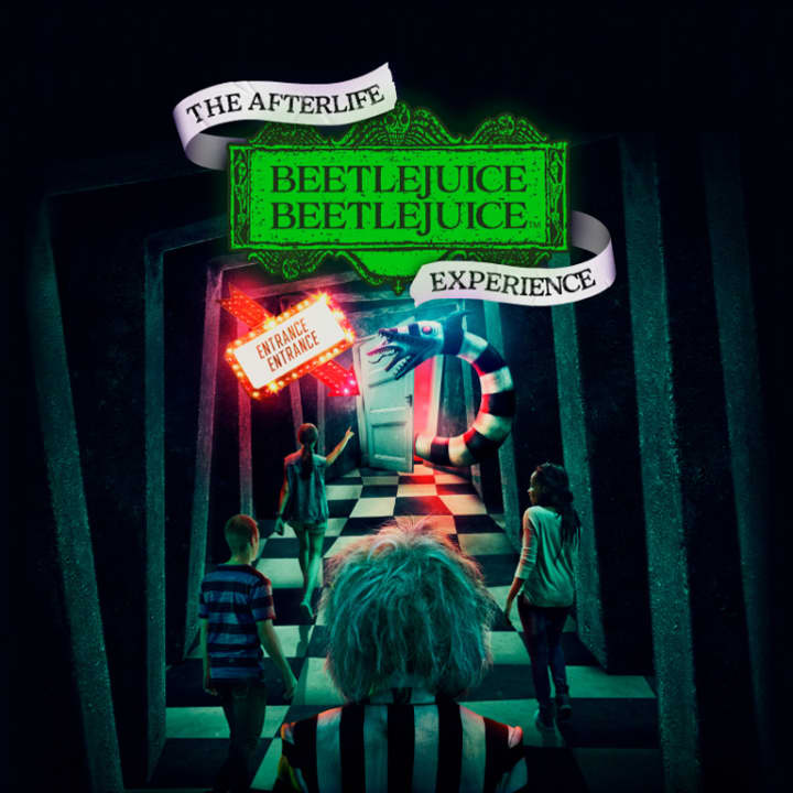 Cristina Helping Beetlejuice Dig At The Afterlife Experience Cristina Helping Beetlejuice Dig At The Afterlife Experience
