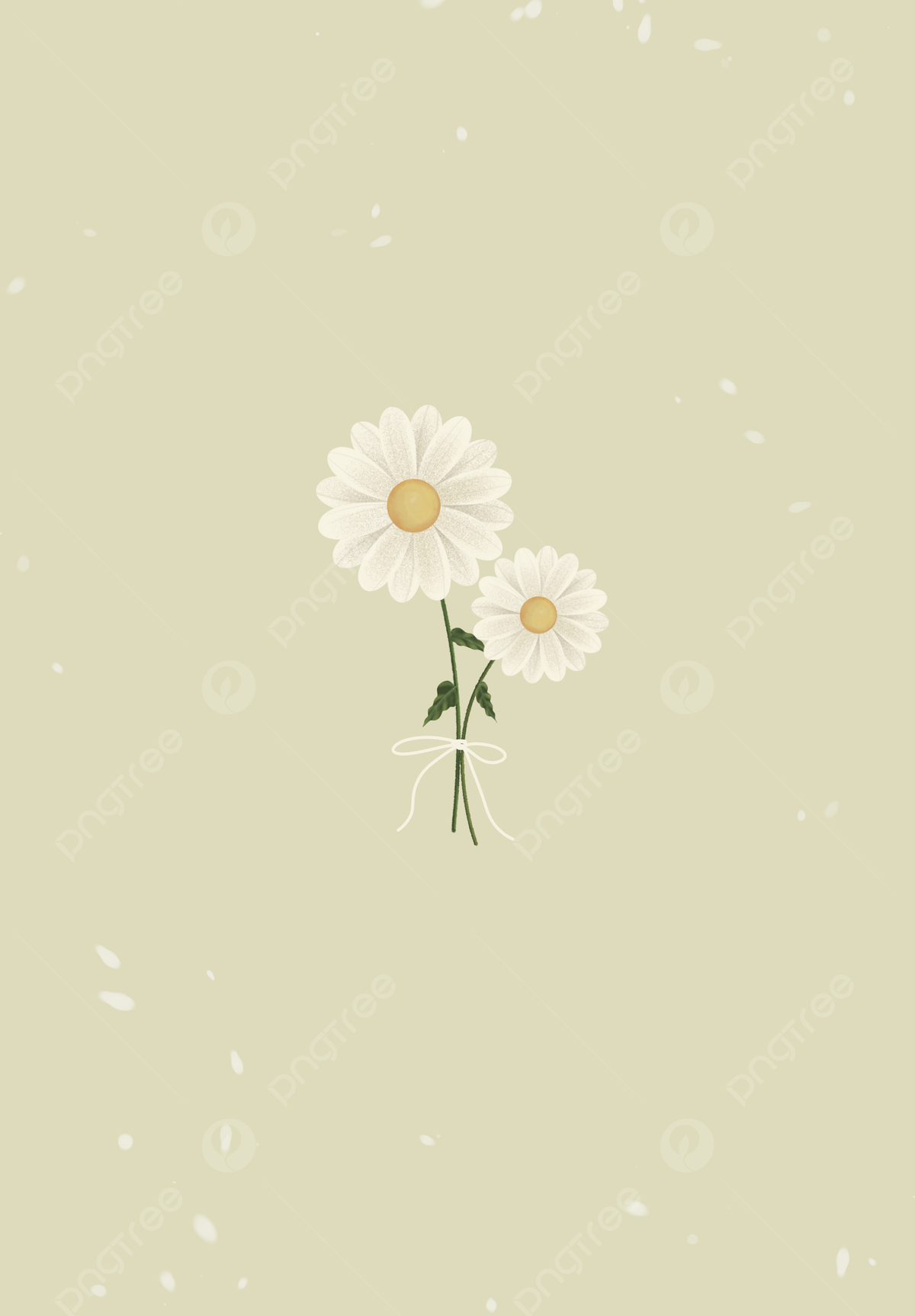 Daisy Blooms Leak Daisy Blooms Leak