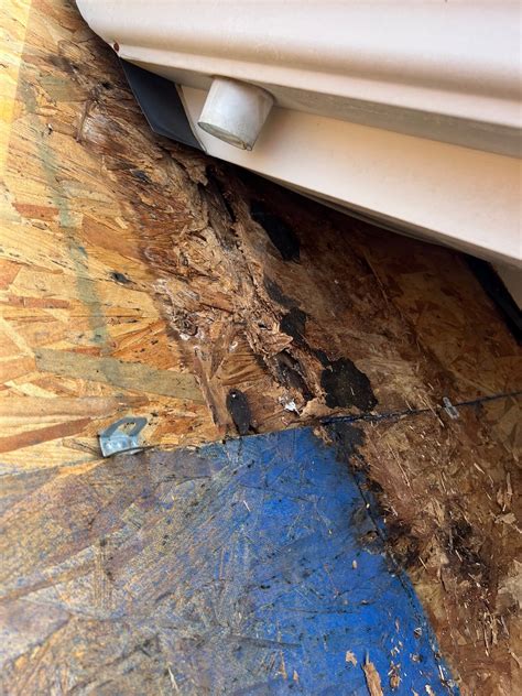 Dealing With Roof Leaks In Rain Charlotte Ace Roofing Charlotte Ace