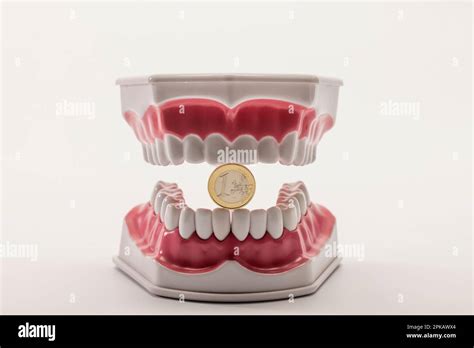 Dental Care Model Opened With A 1 Euro Coin Symbol Image Dental Dental Care Model Opened With A 1 Euro Coin Symbol Image Dental