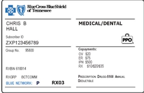 Dental Insurance Benefits Human Resources Vanderbilt University Dental Insurance Benefits Human Resources Vanderbilt University