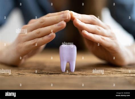 Dental Tooth Insurance Stock Photo Alamy Dental Tooth Insurance Stock Photo Alamy