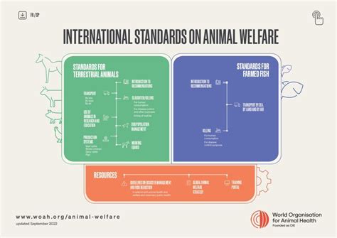 Development Of Animal Welfare Standards Woah World Organisation For Development Of Animal Welfare Standards Woah World Organisation For