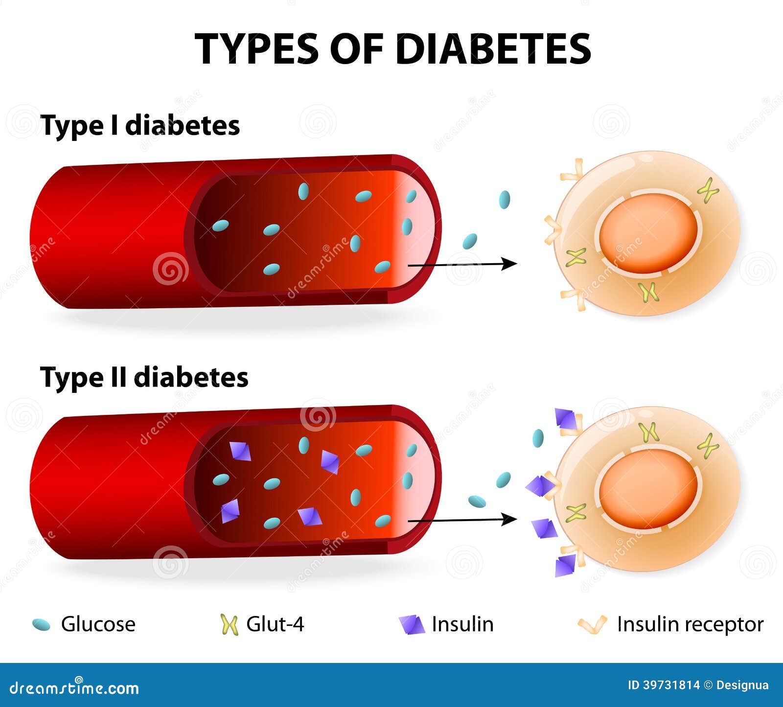 Diabetes Treatment Doctor Near Me In Chesapeake Va Diabetes Treatment Doctor Near Me In Chesapeake Va