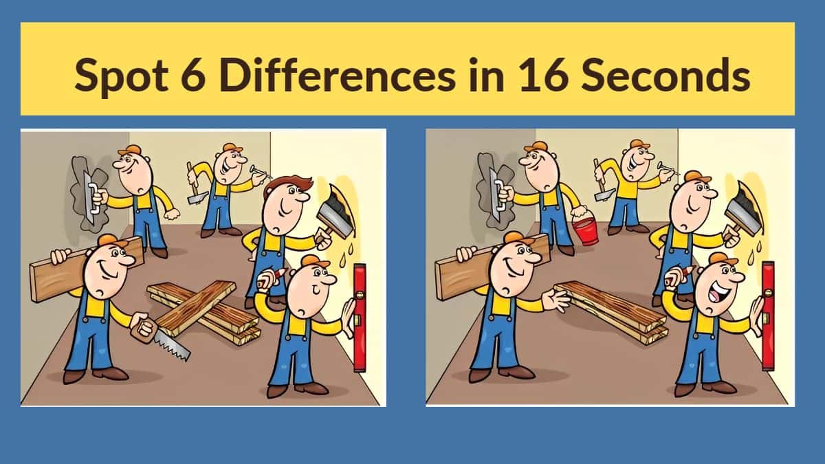 Difference Between Term Life And Whole Life Insurance