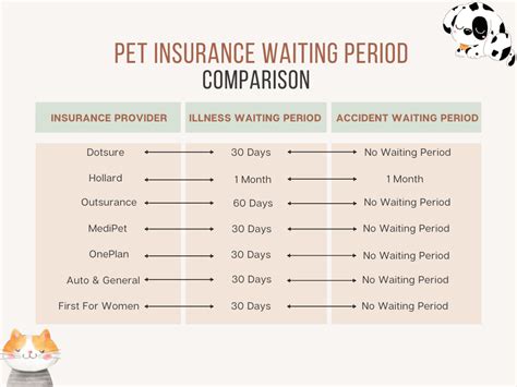 Discover Which Pet Insurance Has No Waiting Period Us Guide