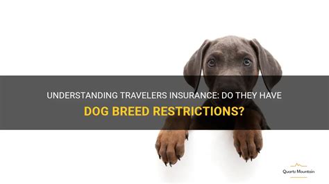 Does All State Insurance Have Dog Breed Restrictions Does All State Insurance Have Dog Breed Restrictions