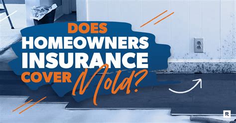 Does Homeowners Insurance Cover Mold Ramsey Does Homeowners Insurance Cover Mold Ramsey