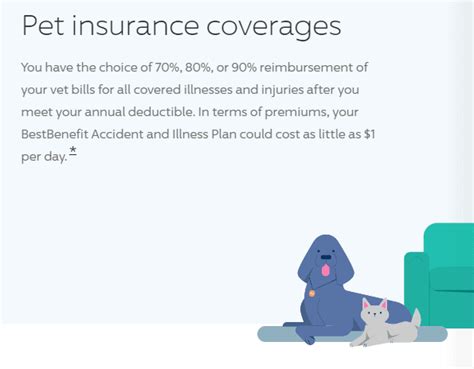 Does Progressive Have Dog Insurance Does Progressive Have Dog Insurance