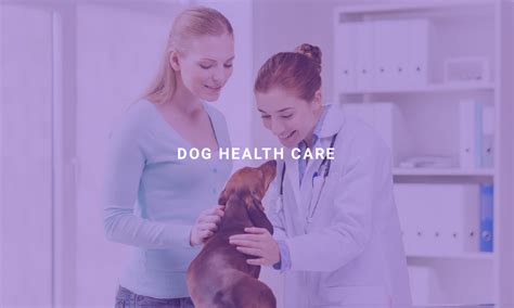 Dog Health Care Alpha Academy Dog Health Care Alpha Academy