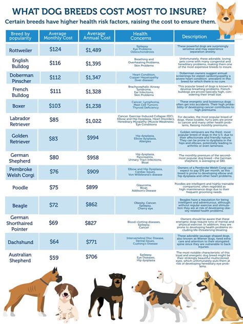 Dog Health Insurance Cost Dog Health Insurance Cost