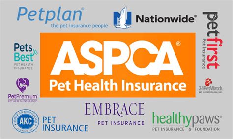 Dog Insurance Companies
