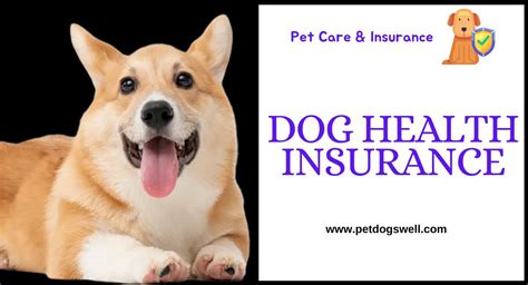Dog Insurance Pet Dogs Well Dog Insurance Pet Dogs Well