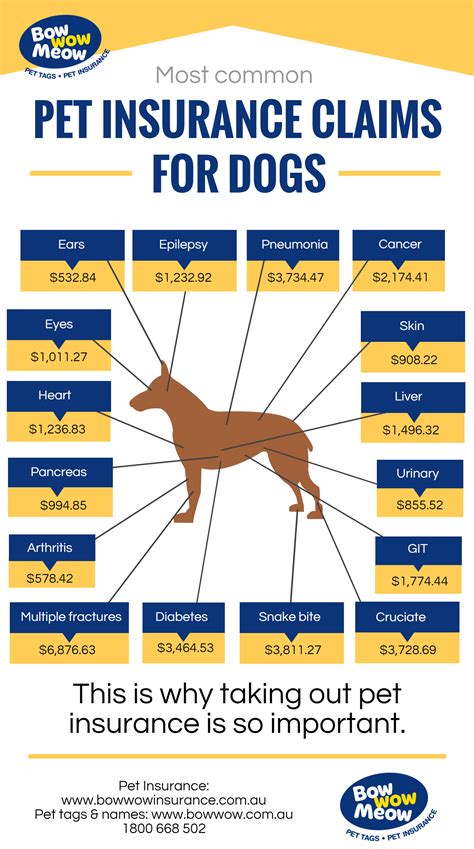 Dog Insurance