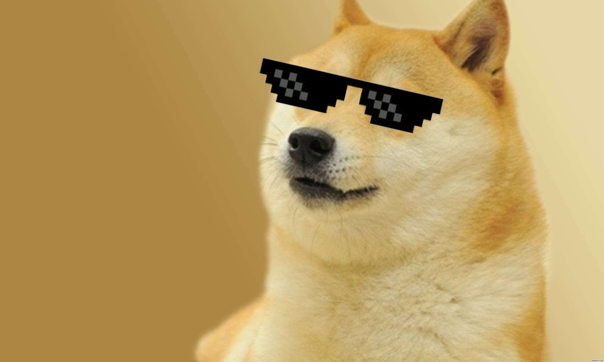 Doge Data Leak