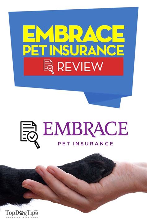 Embrace Pet Insurance Reviews 2018 Is It Worth It Embrace Pet Insurance Reviews 2018 Is It Worth It