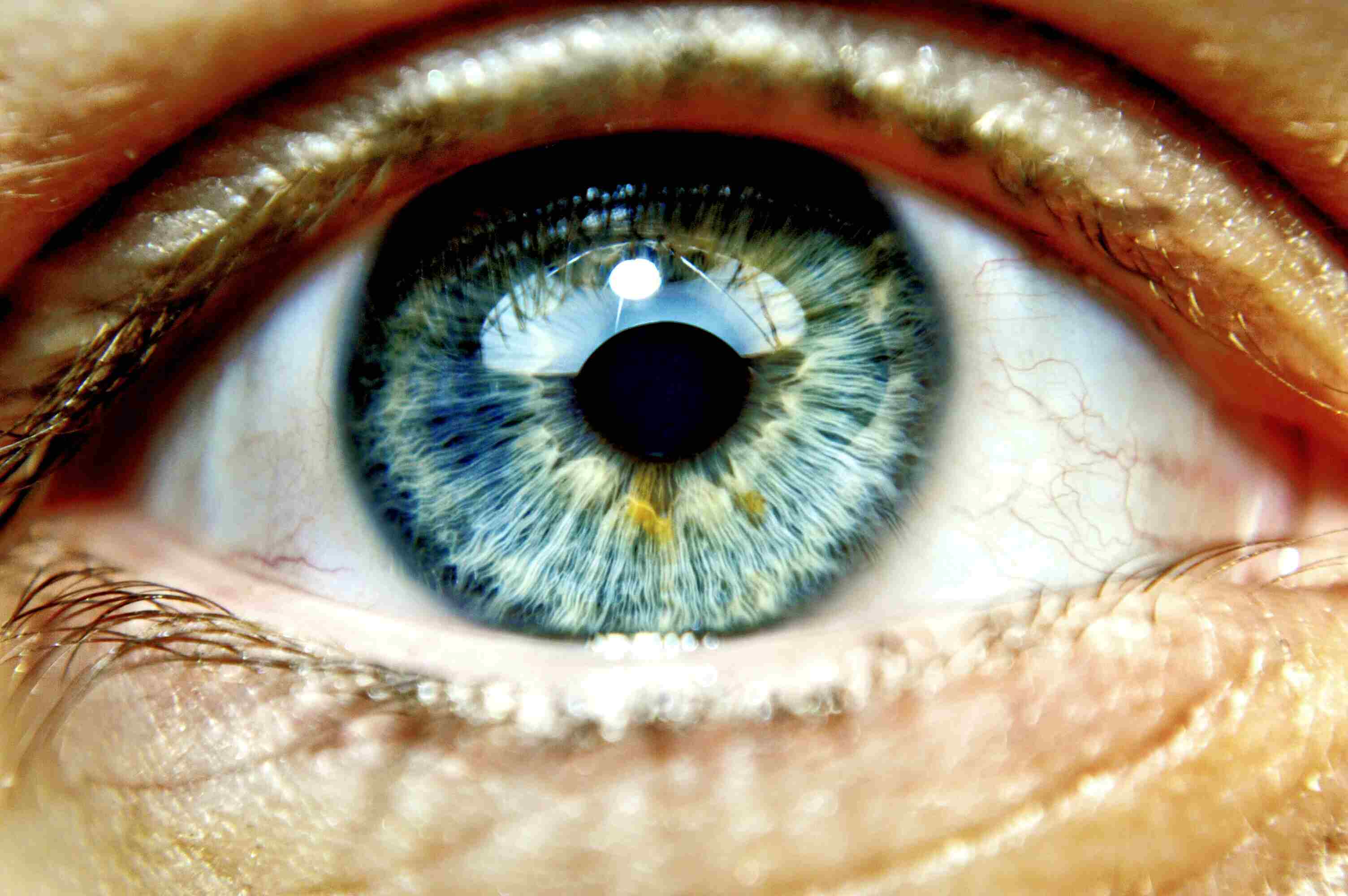 Eye Med Insurance