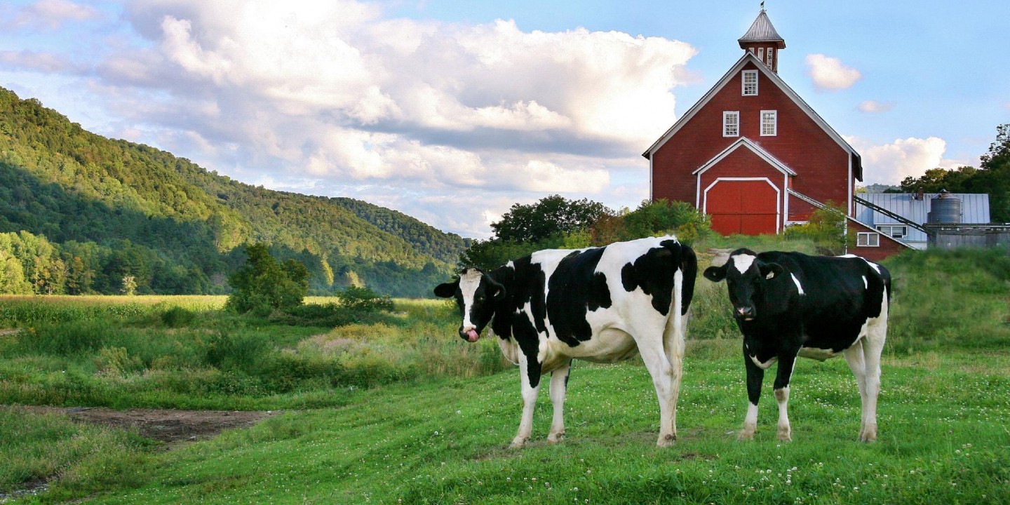 Farm I M A New Agent In Your Area First Tuesday Journal Farm I M A New Agent In Your Area First Tuesday Journal