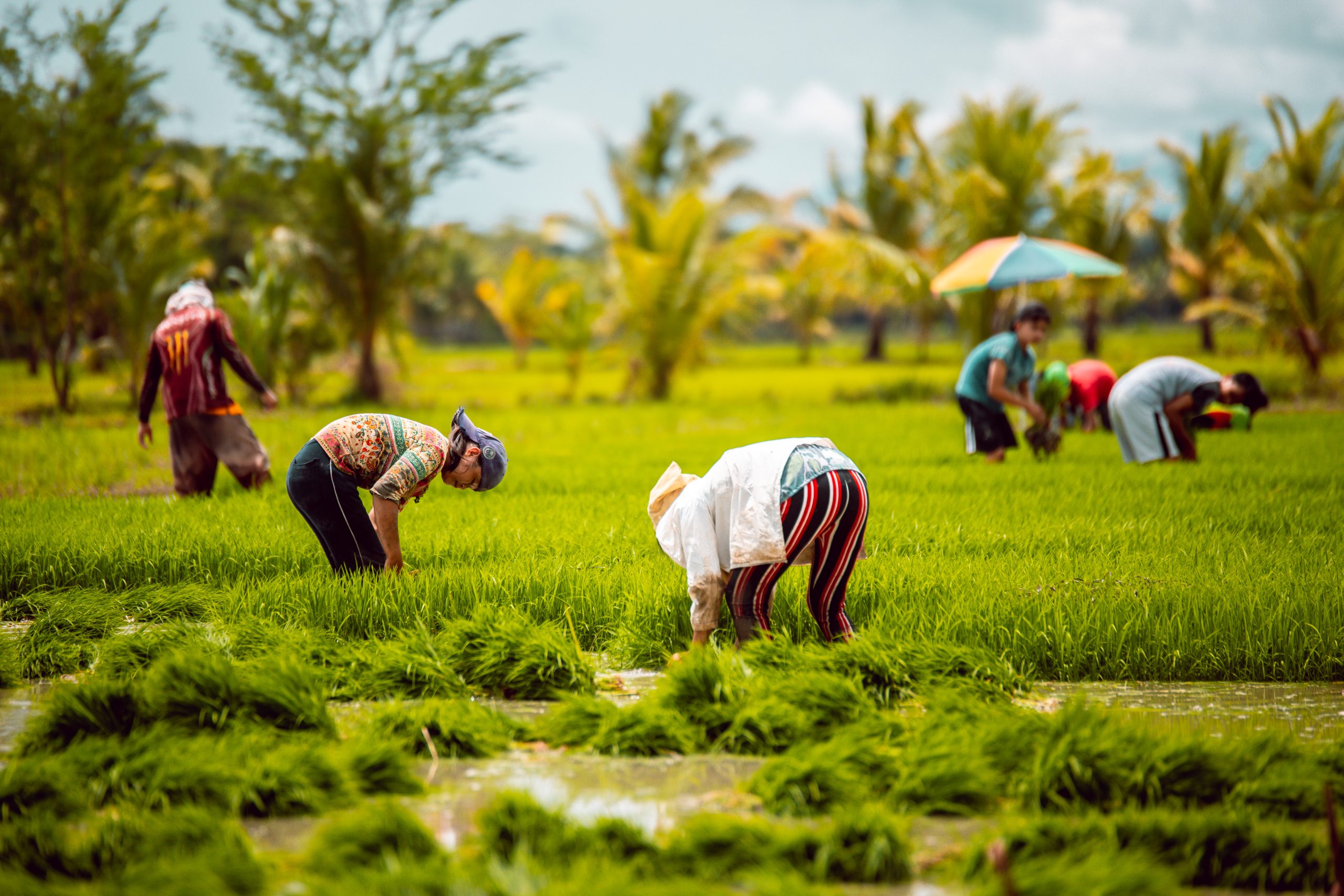 Farmers Group Insurance