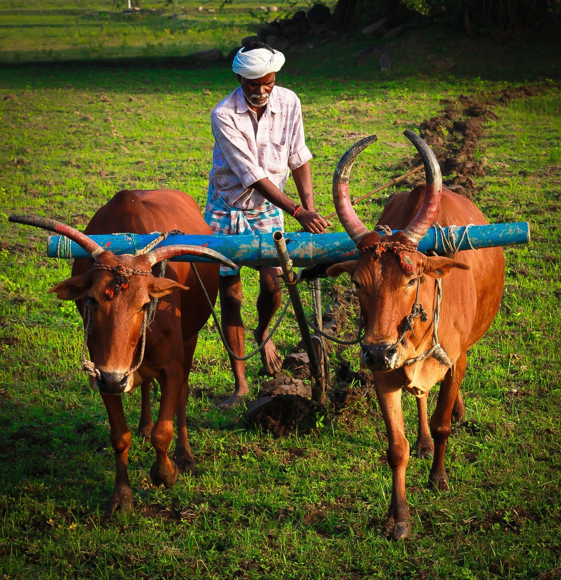 Farmers Group Property And Casualty Insurance Company