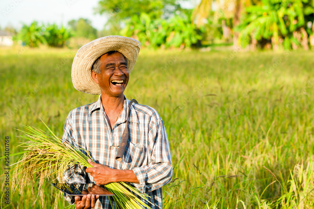 Farmers Property And Casualty Insurance Farmers Property And Casualty Insurance