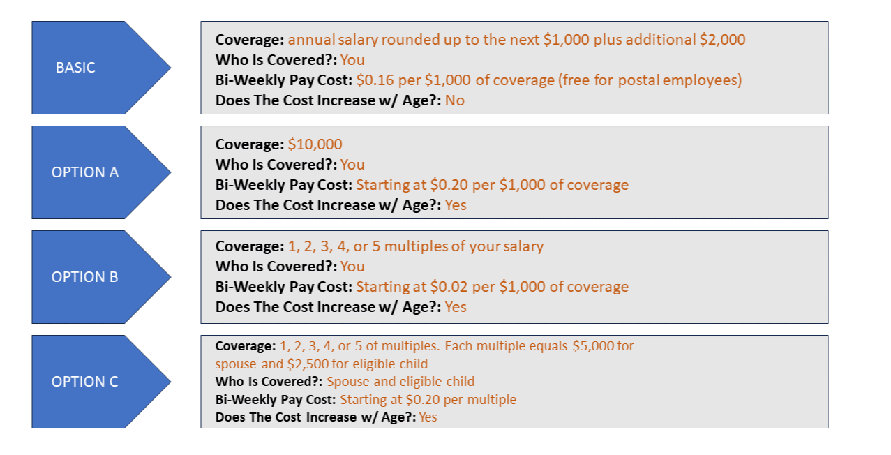 Federal Employee Insurance Options Important Points About Fegli Federal Employee Insurance Options Important Points About Fegli