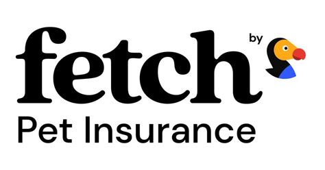 Fetch Dog Insurance