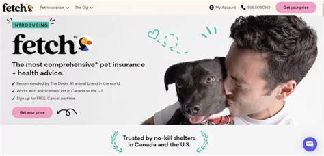 Fetch Pet Insurance Ratings And Reviews