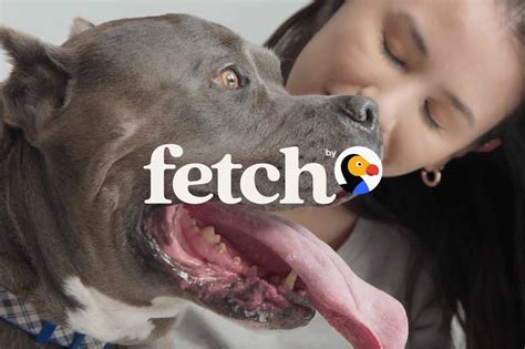 Fetch Pet Reviews Legit Pet Insurance Service That Works Kirkland Fetch Pet Reviews Legit Pet Insurance Service That Works Kirkland