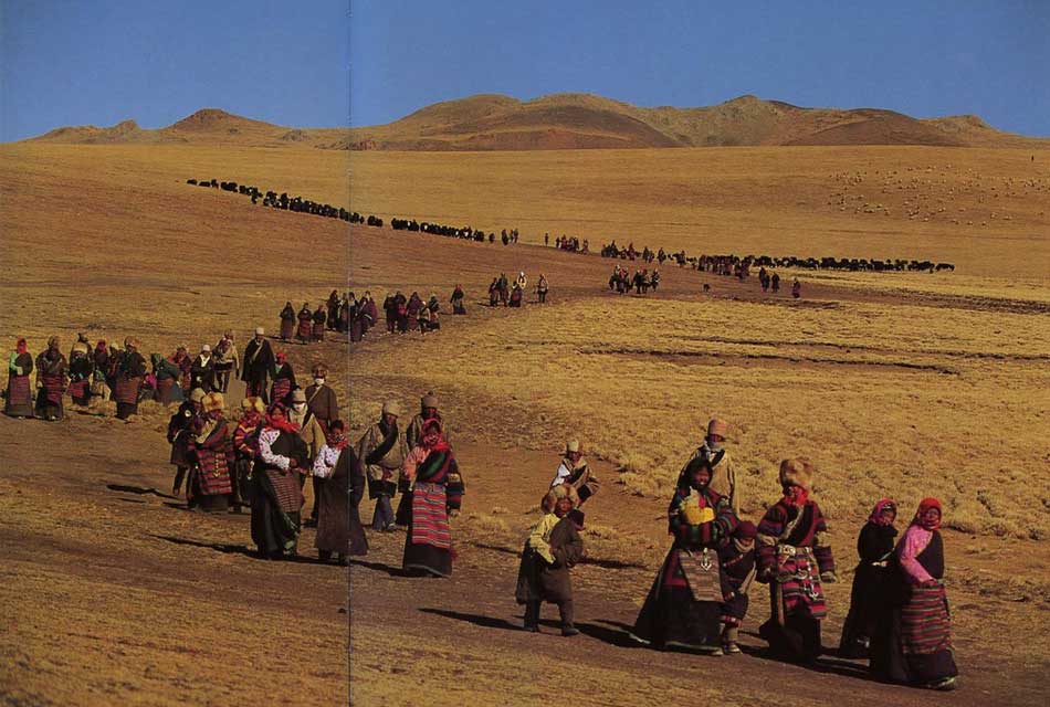 Finding Insurance For Full Time Traveling Nomads Nomad Life Full Finding Insurance For Full Time Traveling Nomads Nomad Life Full