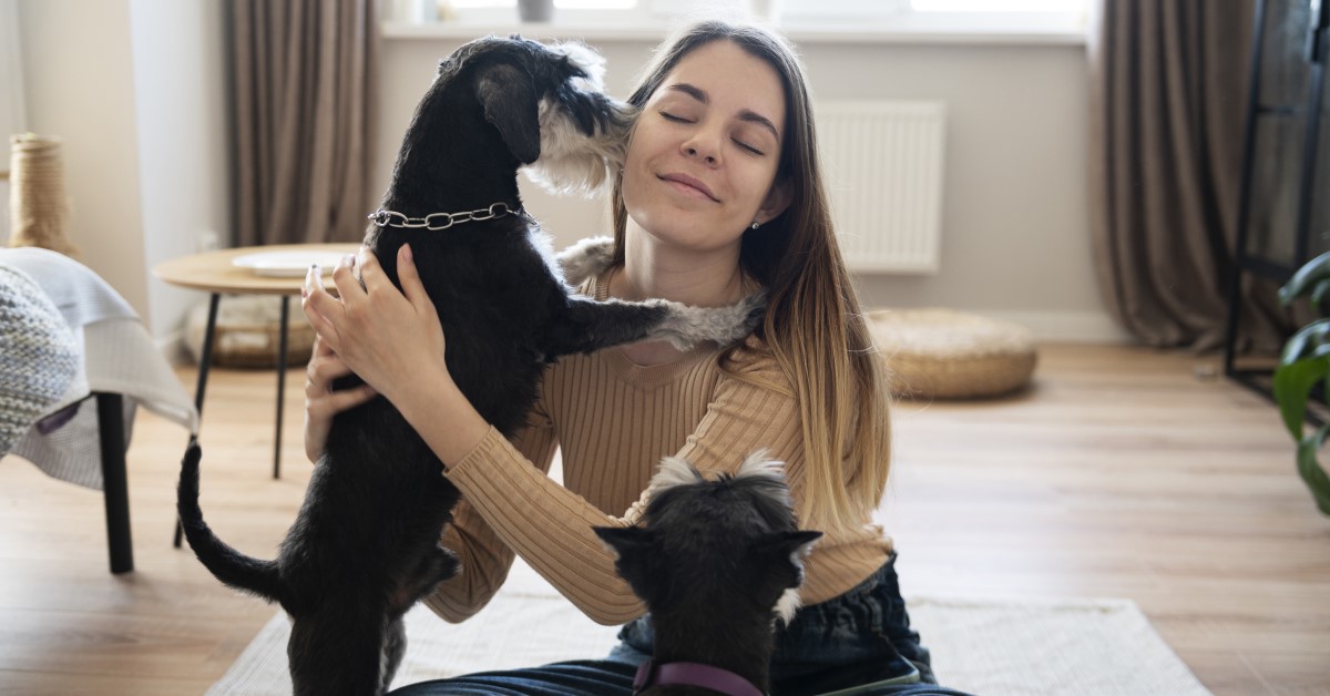 Frequently Asked Questions Pet Health Carepawpaw Pet Insurance Frequently Asked Questions Pet Health Carepawpaw Pet Insurance