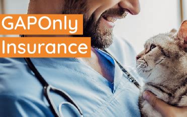 Gaponly The New Way To Use Pet Insurance At The Vet Gaponly The New Way To Use Pet Insurance At The Vet