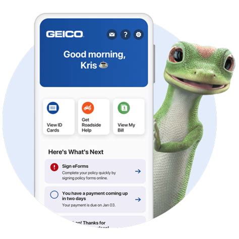 Geico Insurance Customer Service Chat Geico Insurance Customer Service Chat