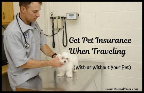 Get Pet Insurance When Traveling With Or Without Your Pet Get Pet Insurance When Traveling With Or Without Your Pet