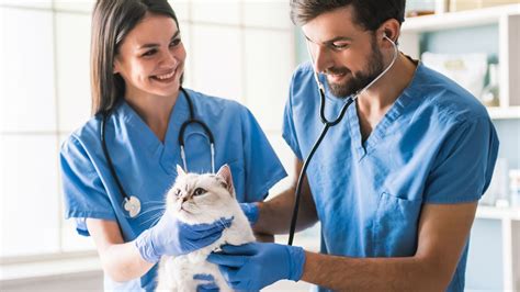 Health Insurance For Animals