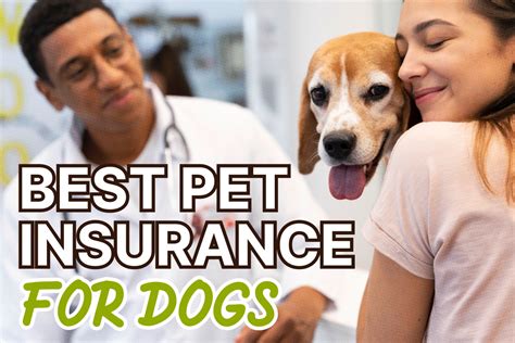 Health Insurance For Dog