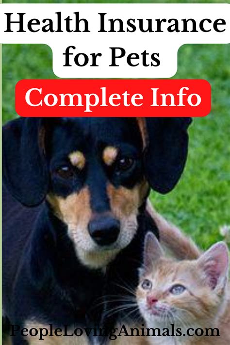 Health Insurance For Pets Health Insurance For Pets