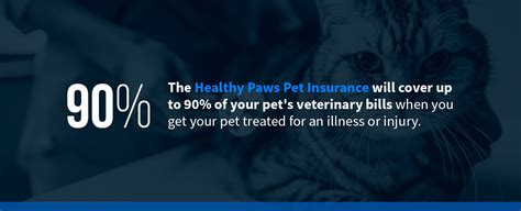 Healthy Paws Pet Insurance Cost It S Important You Get The Facts So You Healthy Paws Pet Insurance Cost It S Important You Get The Facts So You