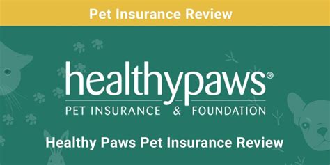 Healthy Paws Pet Insurance Review 2024 Pros Cons Verdict Pangovet Healthy Paws Pet Insurance Review 2024 Pros Cons Verdict Pangovet