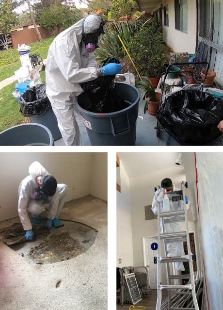 Homeowners Insurance And Our Cleanup Services The Bioclean Team Homeowners Insurance And Our Cleanup Services The Bioclean Team