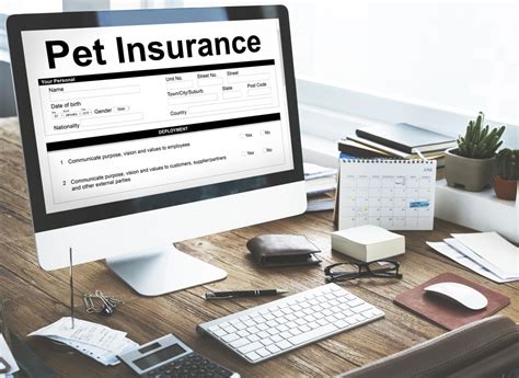 How Do I Get Pet Insurance 2025 Guide Faq Pangovet