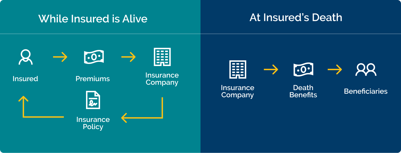 How Life Insurance Works How Life Insurance Works