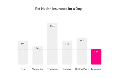 How Much Does Pet Insurance Cost Lemonade Guide How Much Does Pet Insurance Cost Lemonade Guide