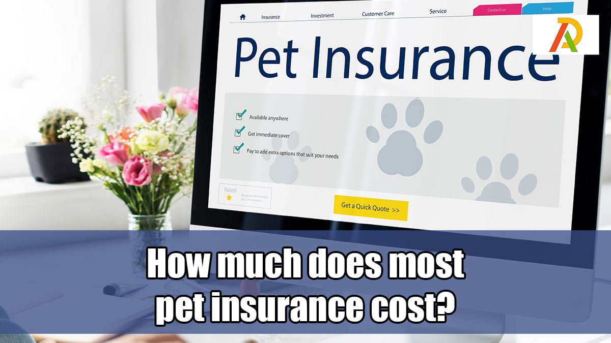 How Much Does Pet Insurance Cost
