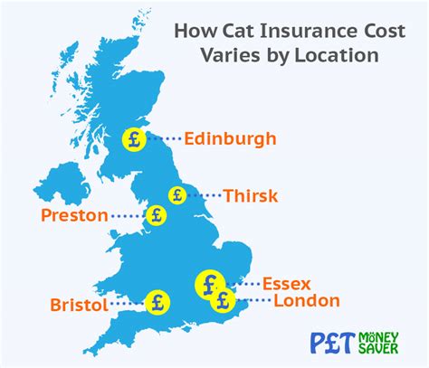 How Much Is Cat Insurance Petmoneysaver How Much Is Cat Insurance Petmoneysaver