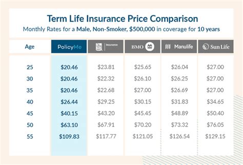 How Much Is Term Life Insurance