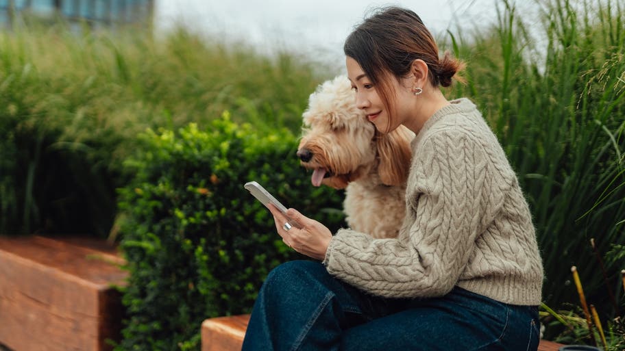 How To Decide If You Should Get Pet Insurance For Your Dog How To Decide If You Should Get Pet Insurance For Your Dog