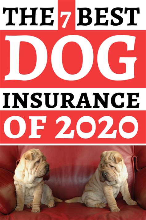 How To Find The Best Dog Insurance Dog Insurance Dogs Embrace Pet How To Find The Best Dog Insurance Dog Insurance Dogs Embrace Pet